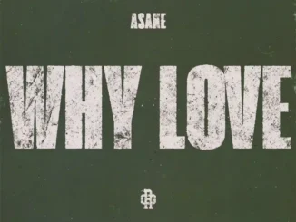 Asake – Why Love mp3