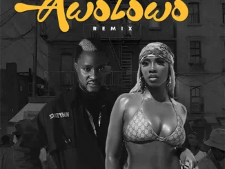 Fido – Awolowo (Remix) ft. Tiwa Savage mp3