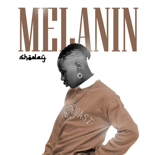 Shoday – Melanin mp3