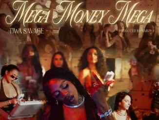 Tiwa Savage – Mega Money Mega mp3